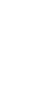 顶光 硬螺旋光